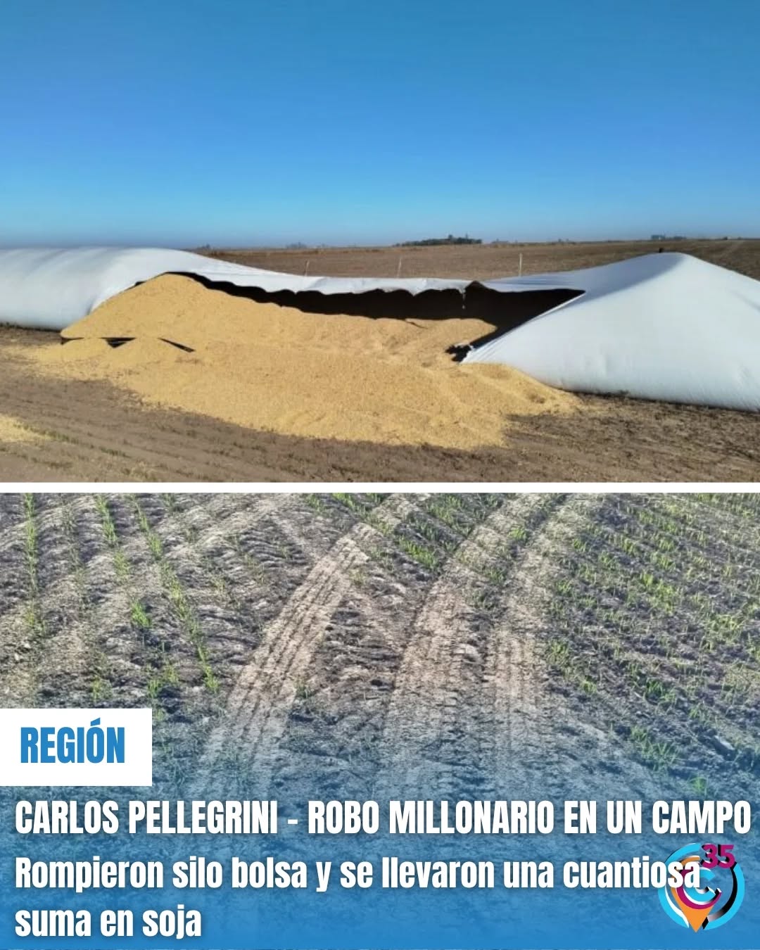 Robo soja en Pellegrini 250625