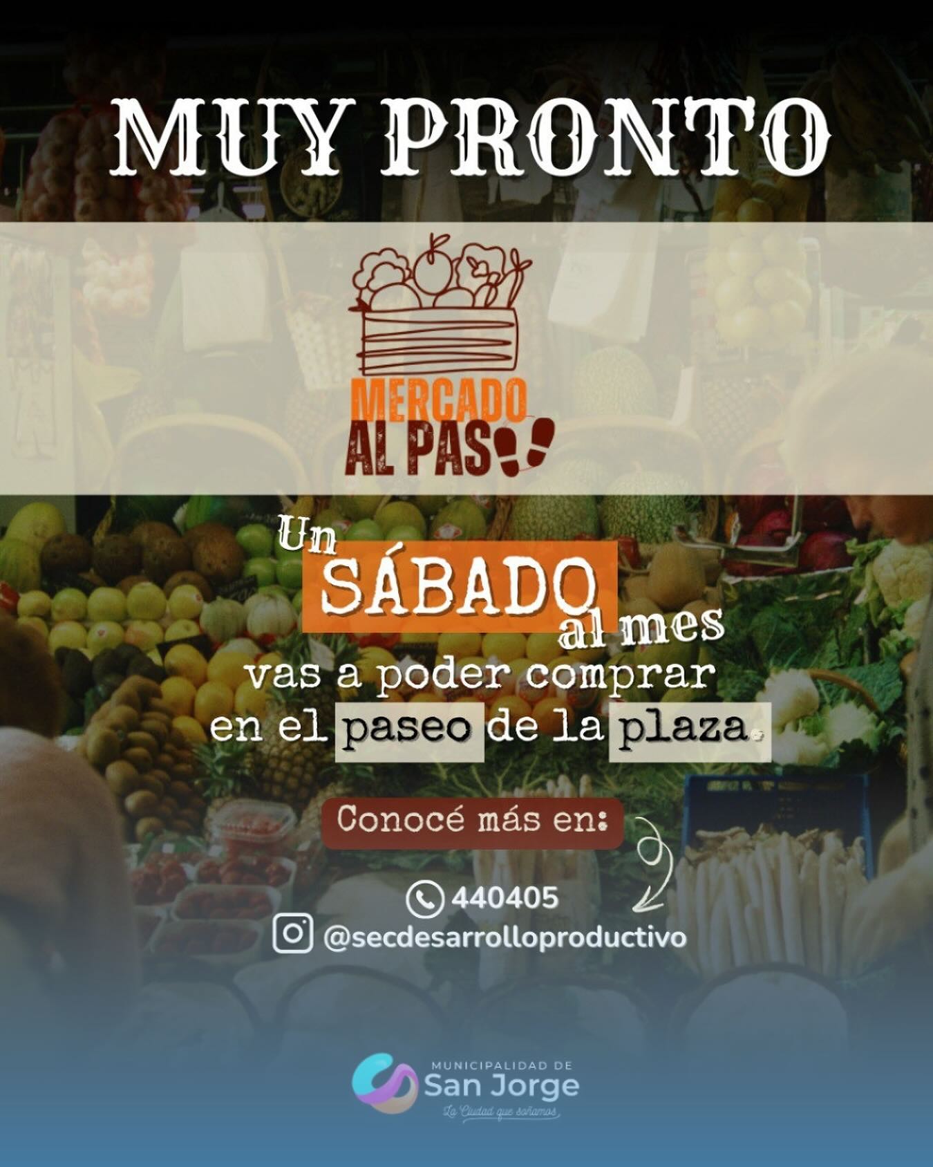 Mercado al paso anticipo 100925