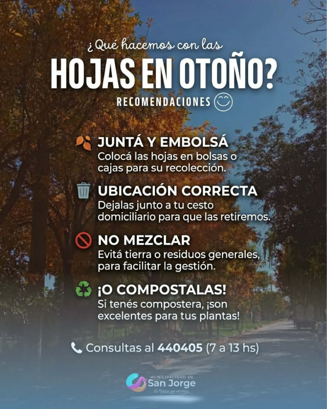 hojas otoño MSJ 130426