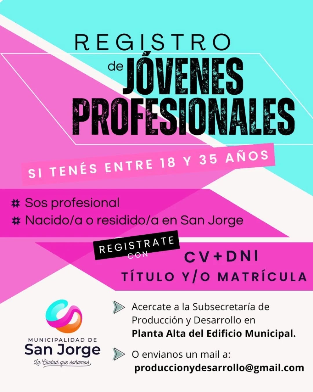 registro joven profesional 080325