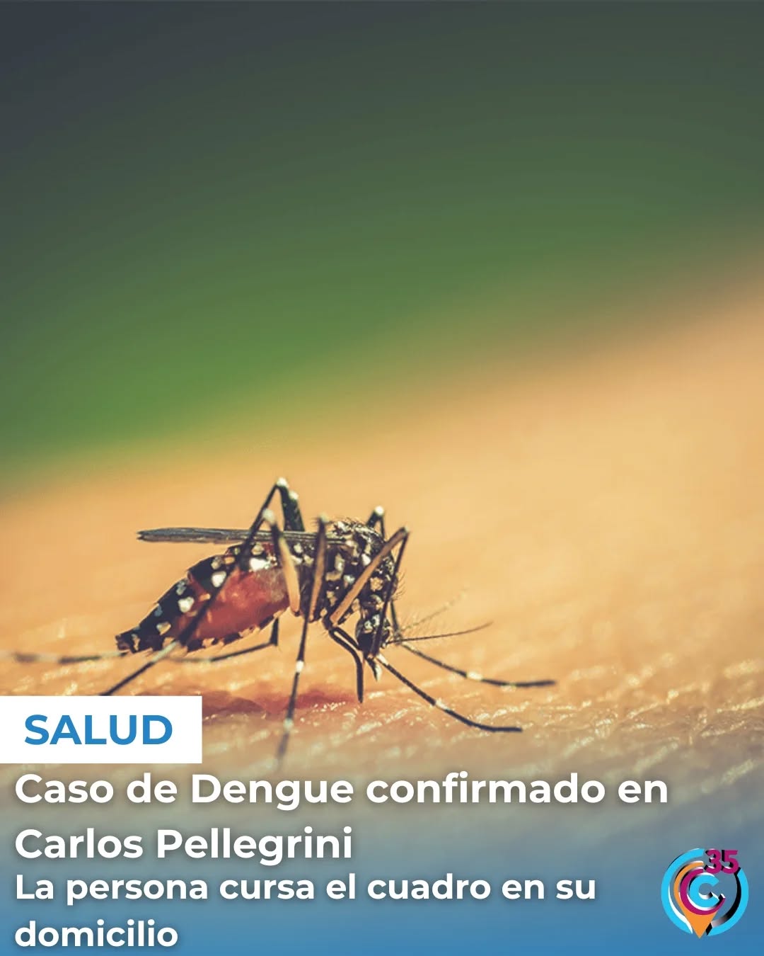 caso Dengue CP 050225